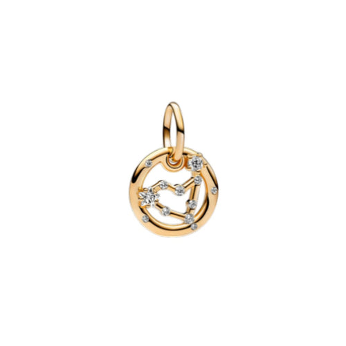 Charm Donna Pandora Segno Zodiacale Acquario