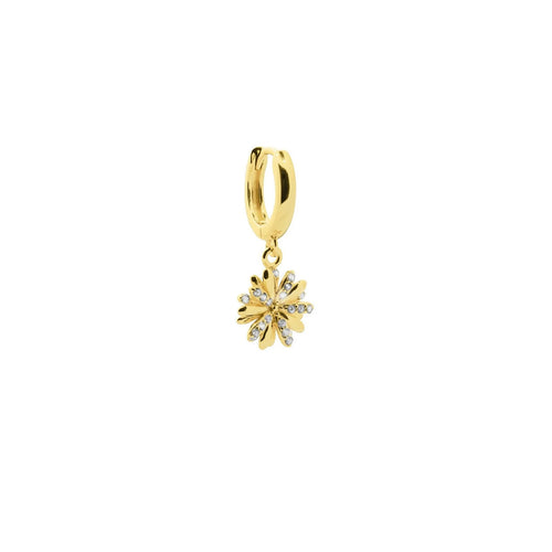 Amabile Hoop Daisy Donna - 1-HP-DAI-C-01-P
