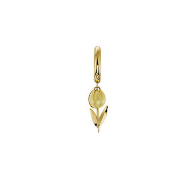 Amabile Hoop Tully Donna - 1-HP-TUL-E-26-P