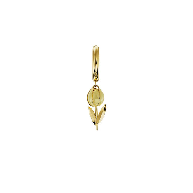 Amabile Hoop Tully Donna - 1-HP-TUL-E-26-P