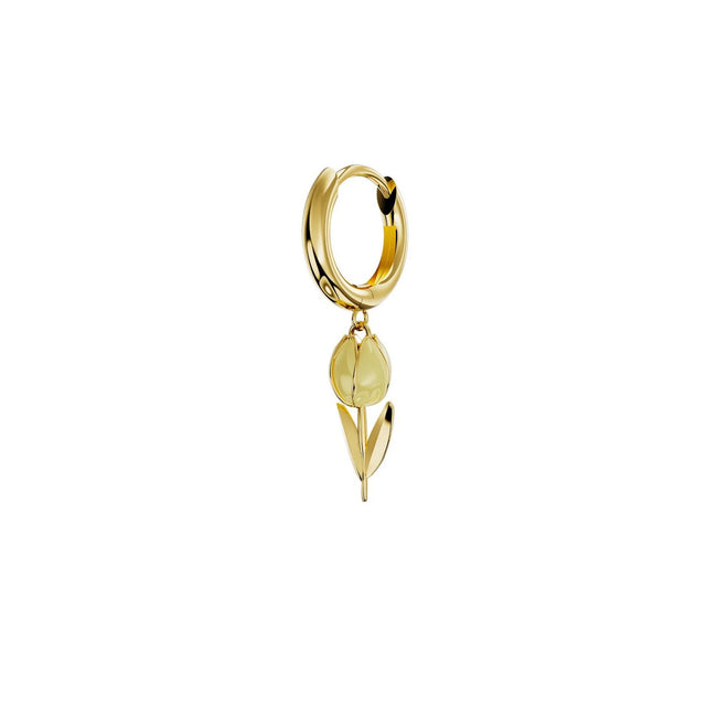 Amabile Hoop Tully Donna - 1-HP-TUL-E-26-P