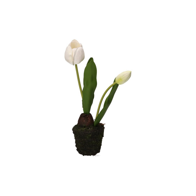 Thun Tulipano bianco S - H3563p00 - Gioielleria De Patto