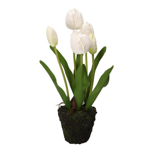 Thun Tulipano bianco M - H3564p00 - Gioielleria De Patto