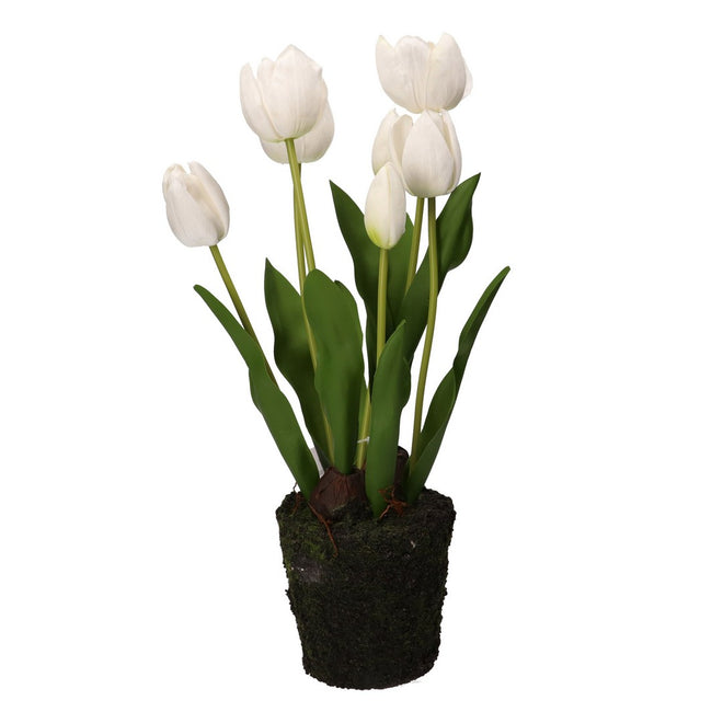 Thun Tulipano bianco L - H3565p00 - Gioielleria De Patto