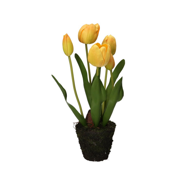 Thun Tulipano giallo M - H3567p00 - Gioielleria De Patto