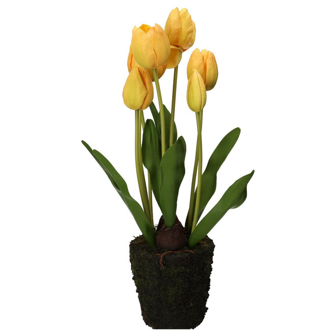 Thun Tulipano giallo L - H3568p00 - Gioielleria De Patto
